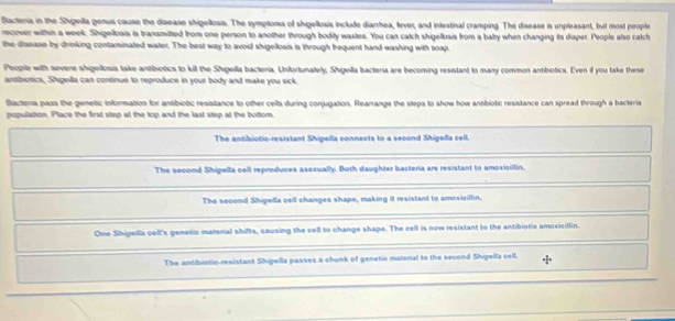Bactera in the Shigeilla genus cause the disease shigellosis. The symptons of shigellosis include diarrhea, lever, and intestinal cramping. The disease is unpleasant, but most poople
recover withn a week. Shigellosis is transmitted from one person to another through bodily wastes. You can catch shigellosis from a baby when changing its diaper. People also catch
the disease by drinking contaminated water. The best way to avoid shigellosis is through trequent hand-washing with soap.
People with severe shigellosis take antibiotics to kill the Shigella bacteria. Unfortunately, Shigella bacteria are becoming resistant to marry common antibiotics. Even if you take these
antibiotics, Shigella can continue to reproduce in your body and make you sick.
Bactena pass the genetic information for antibiotic resistance to other cells during conjugation. Rearrange the steps to show how antibiotic resistance can spread through a bacteria
population. Place the first step at the top and the last step at the bottom
The antibiotic-resistant Shigella connects to a second Shigella cell
The second Shigella cell reproduces asexually. Both daughter bacteria are resistant to amoxicillin.
The second Shigella cell changes shape, making it resistant to amoxicillin.
One Shipella coll's genetio material shifts, causing the vell to change shape. The cell is now resistant to the antibiotic amoxicillin.
The antibistic-resistant Shigella passes a chunk of genetic matenal to the second Shigella cell.