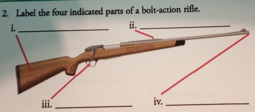 Solved: Label the four indicated parts of a bolt-action rifle. iii ...