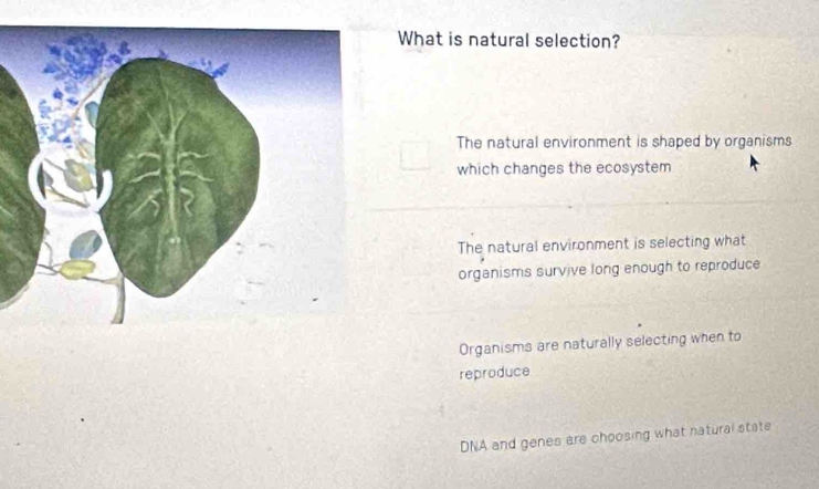 What is natural selection?
The natural environment is shaped by organisms
which changes the ecosystem
The natural environment is selecting what
organisms survive long enough to reproduce
Organisms are naturally selecting when to
reproduce
DNA and genes are choosing what natural state