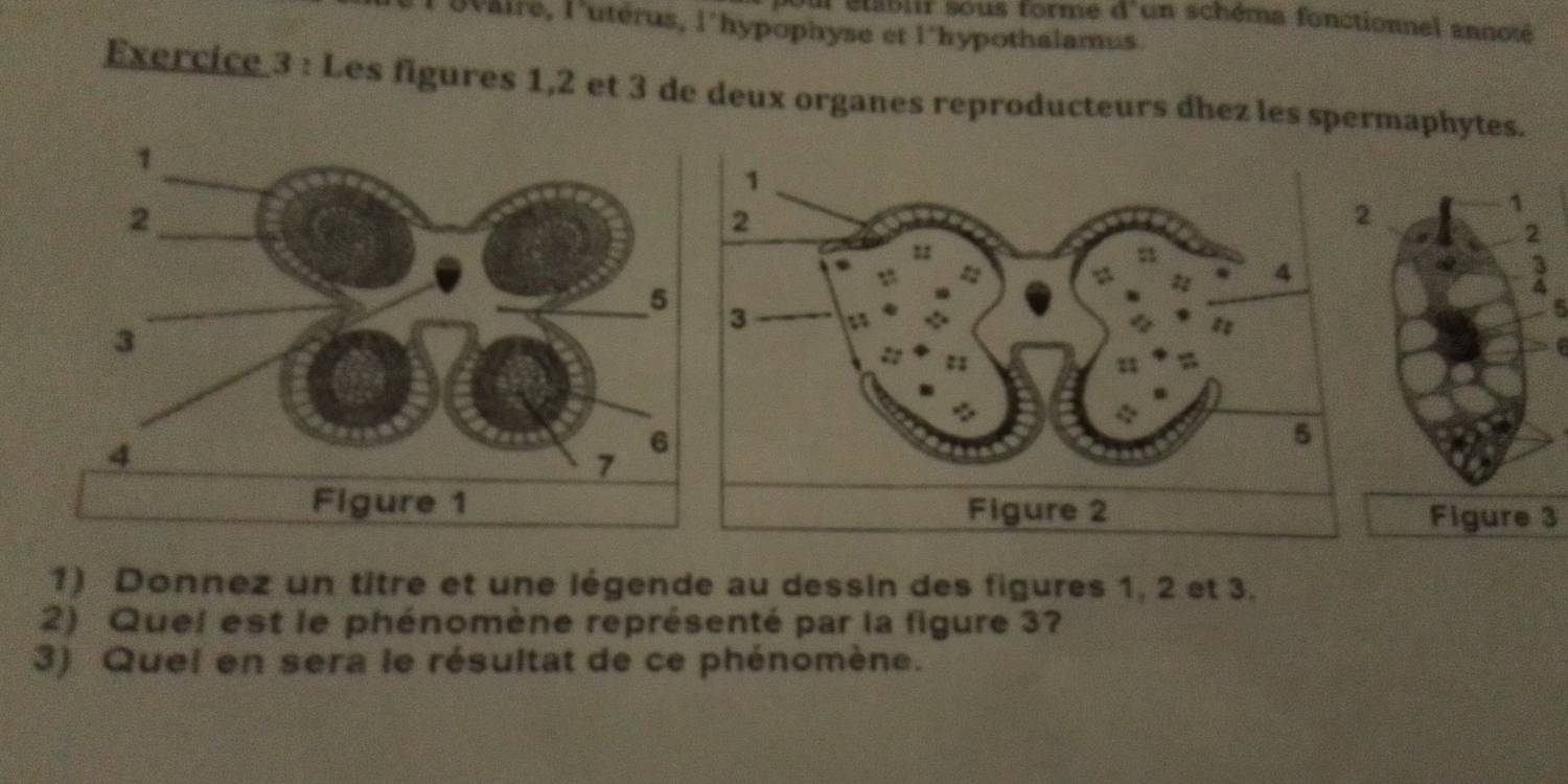 our étabir sous formé a° un schéma fonctionnel annosé 
gvaire, l'utérus, l'hypophyse et l'hypothalamus. 
Exercice 3 : Les figures 1, 2 et 3 de deux organes reproducteurs dhez les spermaphytes. 
5 
3 
1) Donnez un titre et une légende au dessin des figures 1, 2 et 3. 
2) Quei est le phénomène représenté par la figure 3? 
3) Quei en sera le résultat de ce phénomène.