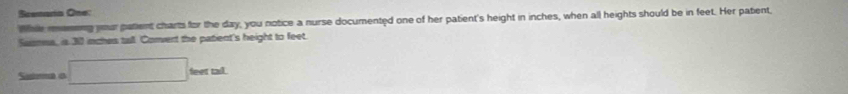 Scenaria One: 
Whle meming your patient charts for the day, you notice a nurse documented one of her patient's height in inches, when all heights should be in feet. Her patent, 
Saanma, is 300 inches tall Convert the patient's height to feet. 
Suimao □ feet tall.