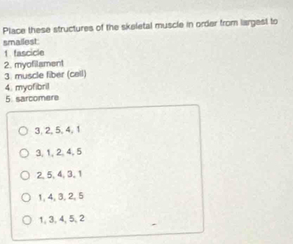 Place these structures of the skeletal muscle in order from largest to
smailest
1 fascicle
2. myofilament
3. muscle fiber (cell)
4. myofibril
5. sarcomere
3, 2, 5, 4, 1
3, 1, 2, 4, 5
2, 5, 4, 3, 1
1, 4, 3, 2, 5
1, 3, 4, 5, 2