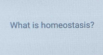 What is homeostasis?