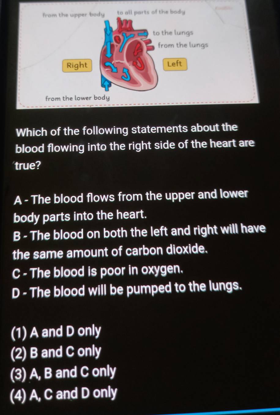 from the upper body to all parts of the body
to the lungs
from the lungs
Right Left
from the lower body
Which of the following statements about the
blood flowing into the right side of the heart are
true?
A - The blood flows from the upper and lower
body parts into the heart.
B - The blood on both the left and right will have
the same amount of carbon dioxide.
C - The blood is poor in oxygen.
D - The blood will be pumped to the lungs.
(1) A and D only
(2) B and C only
(3) A, B and C only
(4) A, C and D only