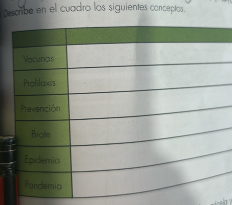 Describe en el cuadro los siguientes conceptos.