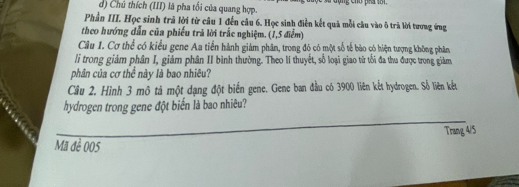 su dụng cho pha tới 
d) Chú thích (III) là pha tối của quang hợp. 
Phần III. Học sinh trả lời từ câu 1 đến câu 6. Học sinh điền kết quả mỗi câu vào ô trả lời tương ứng 
theo hướng dẫn của phiếu trả lời trắc nghiệm. (1,5 điểm) 
Câu 1. Cơ thể có kiểu gene Aa tiến hành giảm phân, trong đó có một số tế bào có hiện tượng không phân 
li trong giảm phân I, giảm phân II bình thường. Theo lí thuyết, số loại giao tử tối đa thu được trong giảm 
phân của cơ thể này là bao nhiêu? 
Câu 2. Hình 3 mô tả một dạng đột biến gene. Gene ban đầu có 3900 liên kết hydrogen. Số liên kết 
hydrogen trong gene đột biến là bao nhiêu? 
Trang 4/5
Mã đề 005