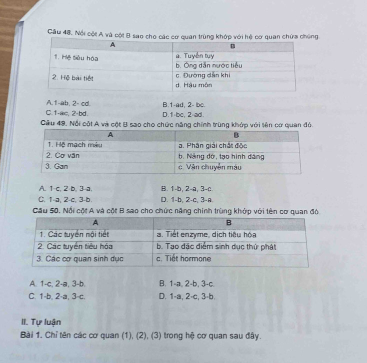 Câu 48, Nổi cột A và cột B sao cho các cơ quaệ cha chúng.
A. 1-ab, 2- cd. B. 1-ad, 2- bc.
C. 1-ac, 2-bd. D. 1-bc, 2-ad.
Câu 49. Nổi cột A và cột B sao cho chức năng chính trùng khớp với tên cơ quan đó.
A. 1-c, 2-b, 3-a. B. 1-b, 2-a, 3-c.
C. 1-a, 2-c, 3-b. D. 1-b, 2-c, 3-a.
Câu 50. Nổi cột A và cột B sao cho chức năng chính trùng khớp với tên cơ quan đó.
A. 1-c, 2-a, 3 -b. B. 1-a, 2-b, 3-c.
C. 1-b, 2-a, 3-c. D. 1 -a, 2-c, 3-b.
II. Tự luận
Bài 1. Chỉ tên các cơ quan (1), (2), (3) trong hệ cơ quan sau đây.