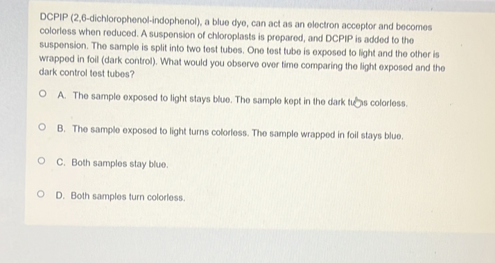 DCPIP (2,6-dichlorophenol-indophenol), a blue dye, can act as an electron acceptor and becomes
colorless when reduced. A suspension of chloroplasts is prepared, and DCPIP is added to the
suspension. The sample is split into two test tubes. One test tube is exposed to light and the other is
wrapped in foil (dark control). What would you observe over time comparing the light exposed and the
dark control test tubes?
A. The sample exposed to light stays blue. The sample kept in the dark tuas colorless.
B. The sample exposed to light turns colorless. The sample wrapped in foil stays blue.
C. Both samples stay blue.
D. Both samples turn colorless.