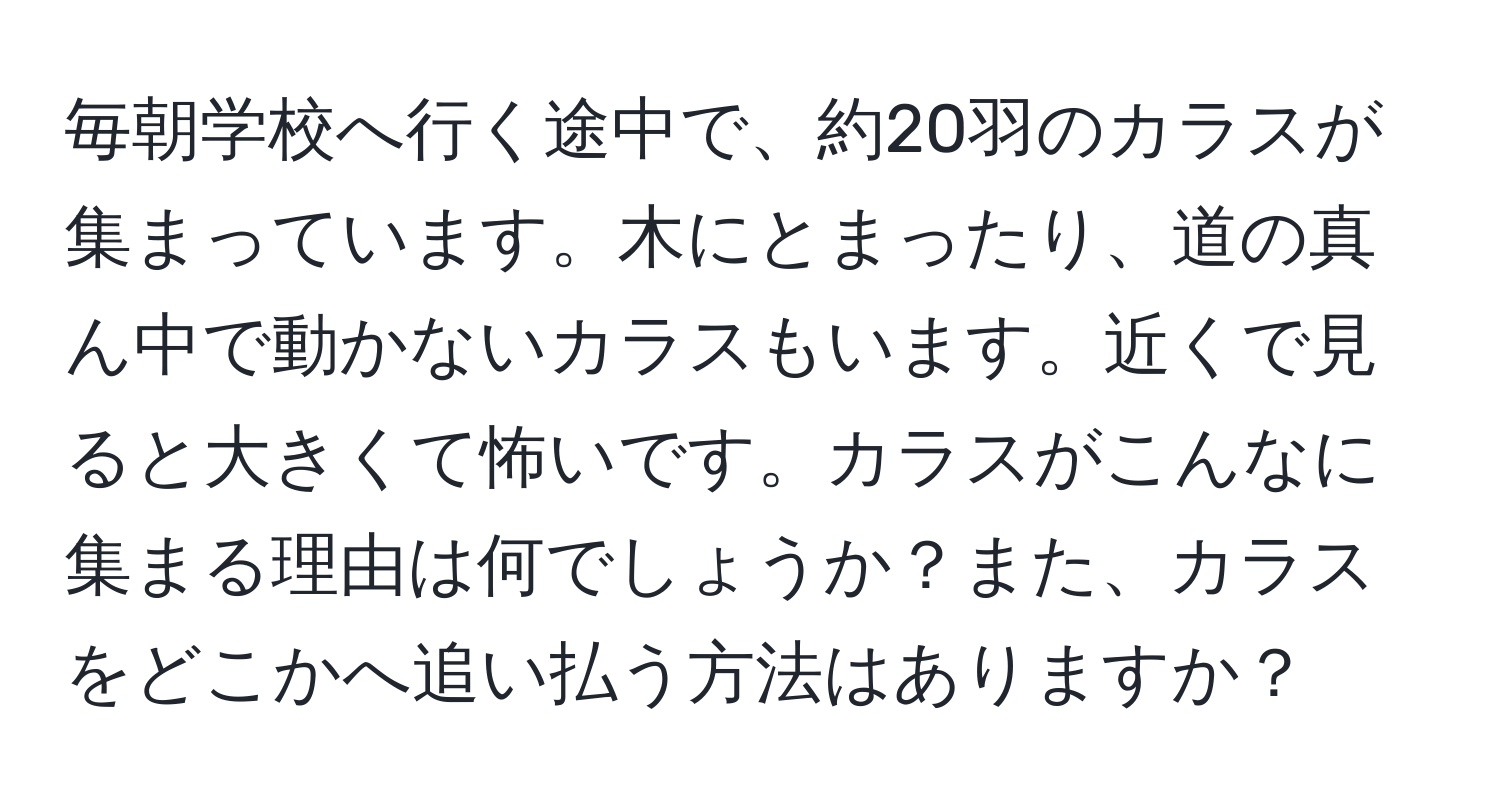 毎朝学校へ行く途中で、約20羽のカラスが集まっています。木にとまったり、道の真ん中で動かないカラスもいます。近くで見ると大きくて怖いです。カラスがこんなに集まる理由は何でしょうか？また、カラスをどこかへ追い払う方法はありますか？