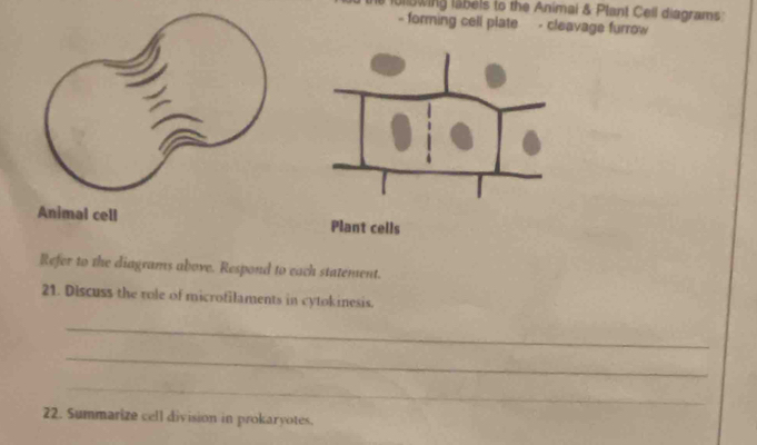 alowing labels to the Animai & Plant Ceil diagrams 
- forming cell plate - cleavage furrow 
Animal cell 
Refer to the diagrams above. Respond to each statement. 
21. Discuss the role of microfilaments in cytokinesis. 
_ 
_ 
_ 
22. Summarize cell division in prokaryotes.