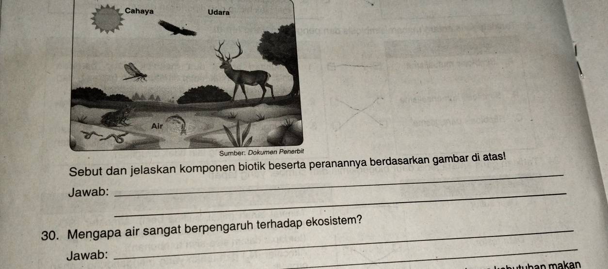 Sebut dan jelaskan komponen biotik ranannya berdasarkan gambar di atas! 
Jawab:_ 
_ 
30. Mengapa air sangat berpengaruh terhadap ekosistem? 
Jawab: 
_