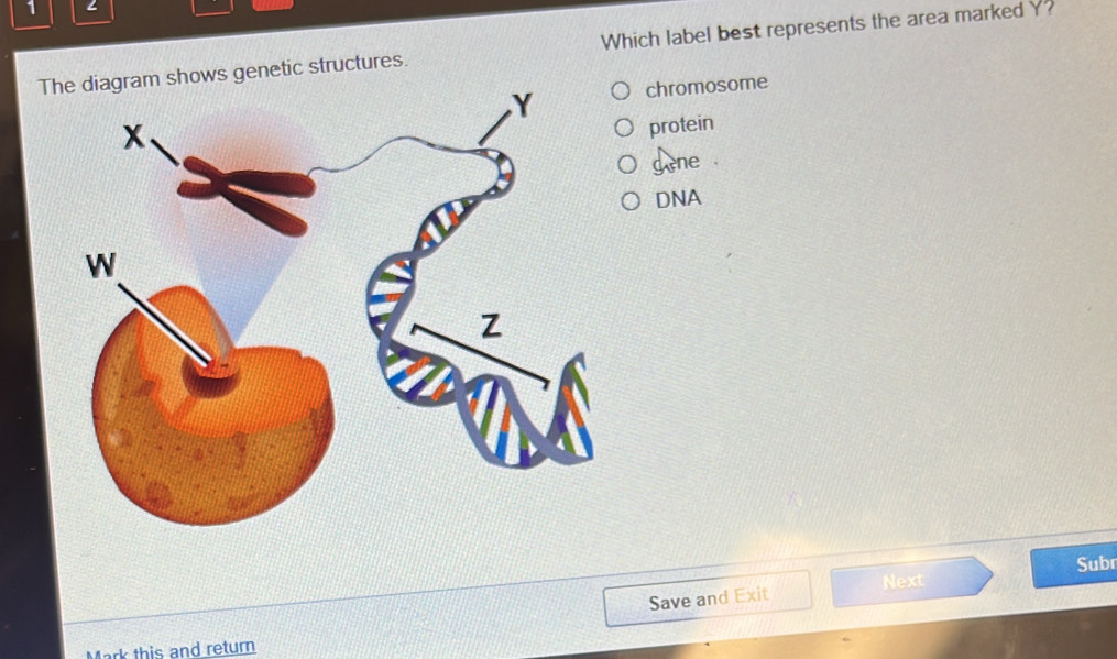 Solved: The diagram shows genetic structures. Which label best ...