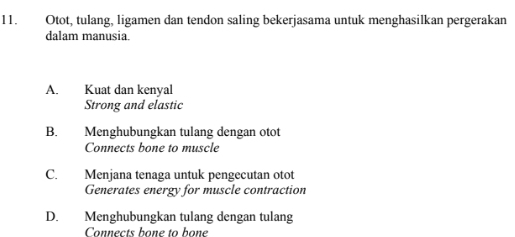 Otot, tulang, ligamen dan tendon saling bekerjasama untuk menghasilkan pergerakan
dalam manusia.
A. Kuat dan kenyal
Strong and elastic
B. Menghubungkan tulang dengan otot
Connects bone to muscle
C. Menjana tenaga untuk pengecutan otot
Generates energy for muscle contraction
D. Menghubungkan tulang dengan tulang
Connects bone to bone