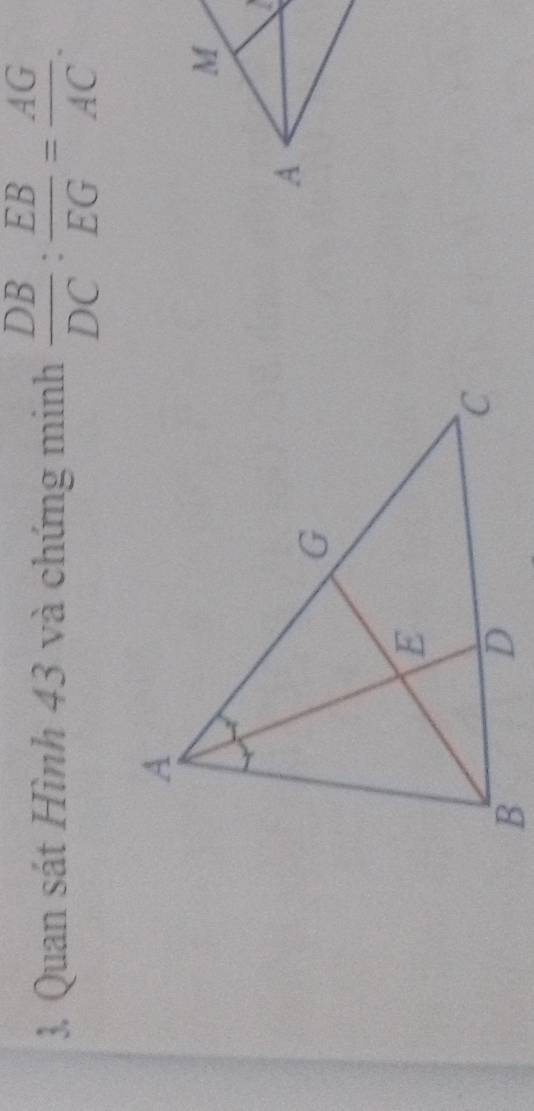 Quan sát Hình 43 và chứng minh  DB/DC : EB/EG = AG/AC .
M
A