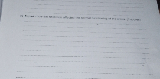 Explain how the hailstorm affected the normal functioning of the crops. (6 scores) 
_ 
_ 
_ 
_ 
_ 
_ 
_ 
_ 
_ 
_ 
_