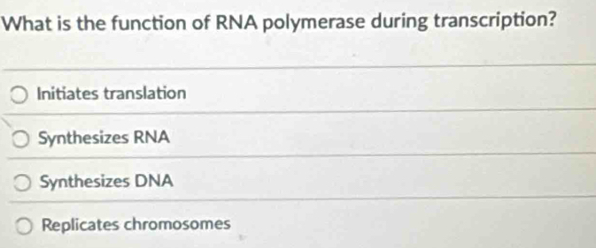 What is the function of RNA polymerase during transcription?
Initiates translation
Synthesizes RNA
Synthesizes DNA
Replicates chromosomes