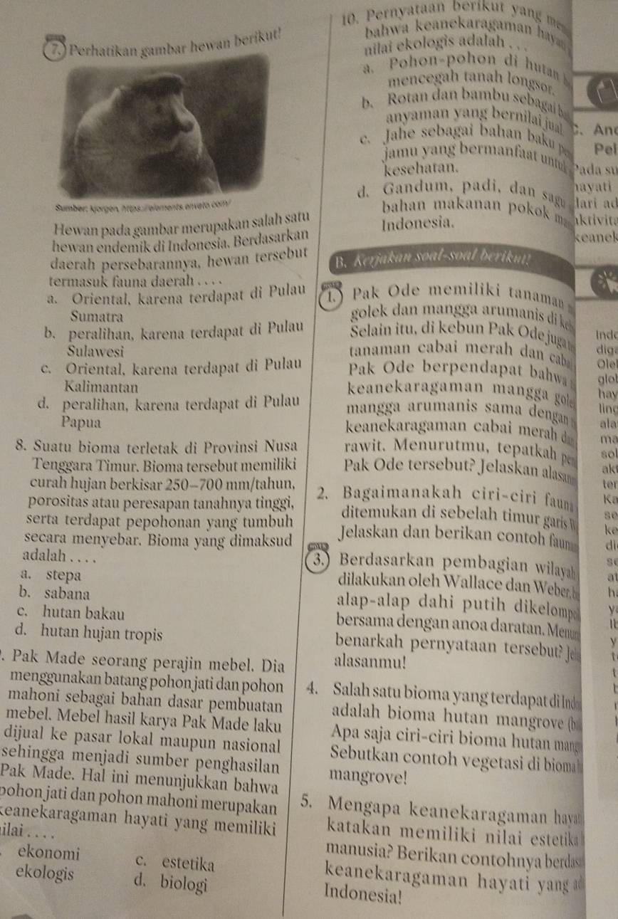 Pernyataan berikut y an m
7.) Perhatikan gambar hewan berikut!
bahwa keanekaragaman hay 
nilai ekologis adalah . ..
a. Pohon-pohon di hutan  
mencegah tanah longsor.
b. Rotan dan bambu sebagai b
anyaman y ang bernlai jua C、An
c. Jahe sebagai bahan baku p Pel
jamu y an g berman  n t   pd  
kesehatan.
hayati
d. Gandum, padi, dan sag, lari ad
Sumber: Ajorgén, https  elements envato
Hewan pada gambar merupakan salah ṣatu
bahan makanan poko  ativita
hewan endemík di Indonesía. Berdasarkan Indonesia.
keanek
daerah persebarannya, hewan tersebut B. Kerjakan soal-soal beriku!
termasuk fauna daerah . . . .
a. Oriental, karena terdapat di Pulau h    
Pak Ode memiliki tanaman 
Sumatra
gole  an  an  a aru  anis i e.
b. peralihan, karena terdapat di Pulau  Selain itu, di kebun Pak Odejugan  nd
Sulawesi tanaman cabai merah dan cab dig
c. Oriental, karena terdapat di Pulau  Pak Ode berpendapat bahwa Ole
Kalimantan
glot
hay
keanekaragaman man  a go lìng
d. peralihan, karena terdapat di Pulau
man   a arumanis samadengan  
Papua ala
keanekaragaman abai  era   ma
rawit. Menurutmu,tepatkah p sol
8. Suatu bioma terletak di Provinsi Nusa Pak Ode tersebut? Jelaskan alasam ak
Tenggara Timur. Bioma tersebut memiliki
ter
curah hujan berkisar 250-700 mm/tahun,  2. Bagaimanakah ciri-ciri faun Ka
porositas atau peresapan tanahnya tinggi, ditemukan di sebelah timur garis  W se
serta terdapat pepohonan yang tumbuh
secara menyebar. Bioma yang dimaksud Jelaskan dan berikan contoh fau ke
dì
se
3.) Berdasarkan pembagian wilayah at
adalah . . . . dilakukan oleh Wallace dan Weber
b. sabana h
a. stepa alap-alap dahi putih dikelomp. y
c. hutan bakau bersama dengan anoa daratan. Men 1
d. hutan hujan tropis
benarkah pernyataan tersebut? e y
. Pak Made seorang perajin mebel. Dia alasanmu!
t
t
menggunakan batang pohon jati dan pohon 4. Salah satu bioma yang terdapat di Ind
mahoni sebagai bahan dasar pembuatan adalah bioma hutan mangrove (
mebel. Mebel hasil karya Pak Made laku Apa saja ciri-ciri bioma hutan mang
dijual ke pasar lokal maupun nasional Sebutkan contoh vegetasi di bioma
sehingga menjadi sumber penghasilan mangrove!
Pak Made. Hal ini menunjukkan bahwa
pohon jati dan pohon mahoni merupakan 5. Mengapa keanekaragaman haya
keanekaragaman hayati yang memiliki katakan memiliki nilai estetika 
ilai . . . . manusia? Berikan contohnya berdas
ekonomi c. estetika  keanekaragaman hayati yang a 
ekologis d. biologi
Indonesia!