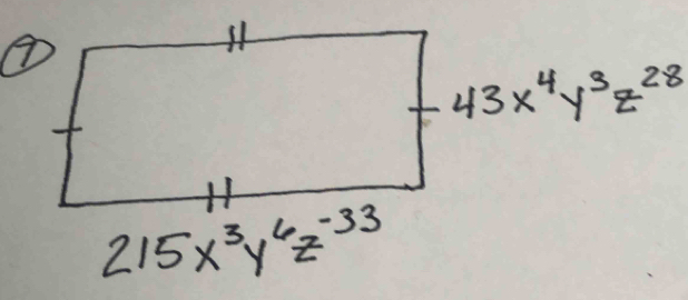 43x^4y^3z^(28)