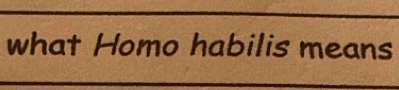 what Homo habilis means