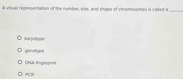 Solved: A visual representation of the number, size, and shape of ...