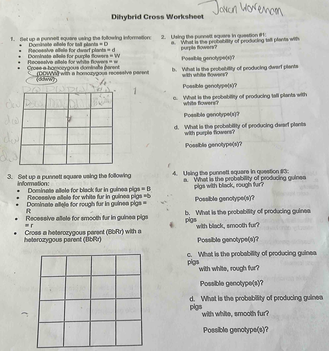 Solved: Dihybrid Cross Worksheet 1. Set up a punnett square using the ...