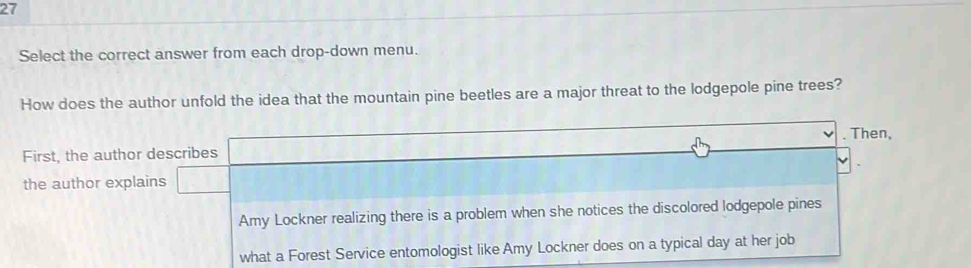 Select the correct answer from each drop-down menu.
How does the author unfold the idea that the mountain pine beetles are a major threat to the lodgepole pine trees?
. Then,
First, the author describes
the author explains
Amy Lockner realizing there is a problem when she notices the discolored lodgepole pines
what a Forest Service entomologist like Amy Lockner does on a typical day at her job