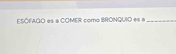 ESÓFAGO es a COMER como BRONQUIO es a_