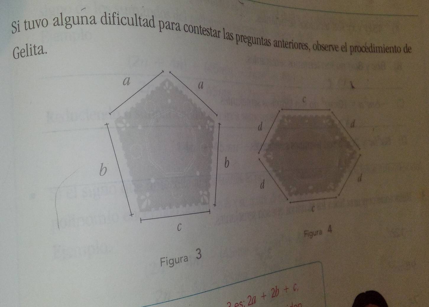 Si tuvo alguna dificultad para contestar las preguntas anteriores, observe el procédimiento de 
Gelita. 
Figura 3 Figura 4 
2 2a+2b+c,