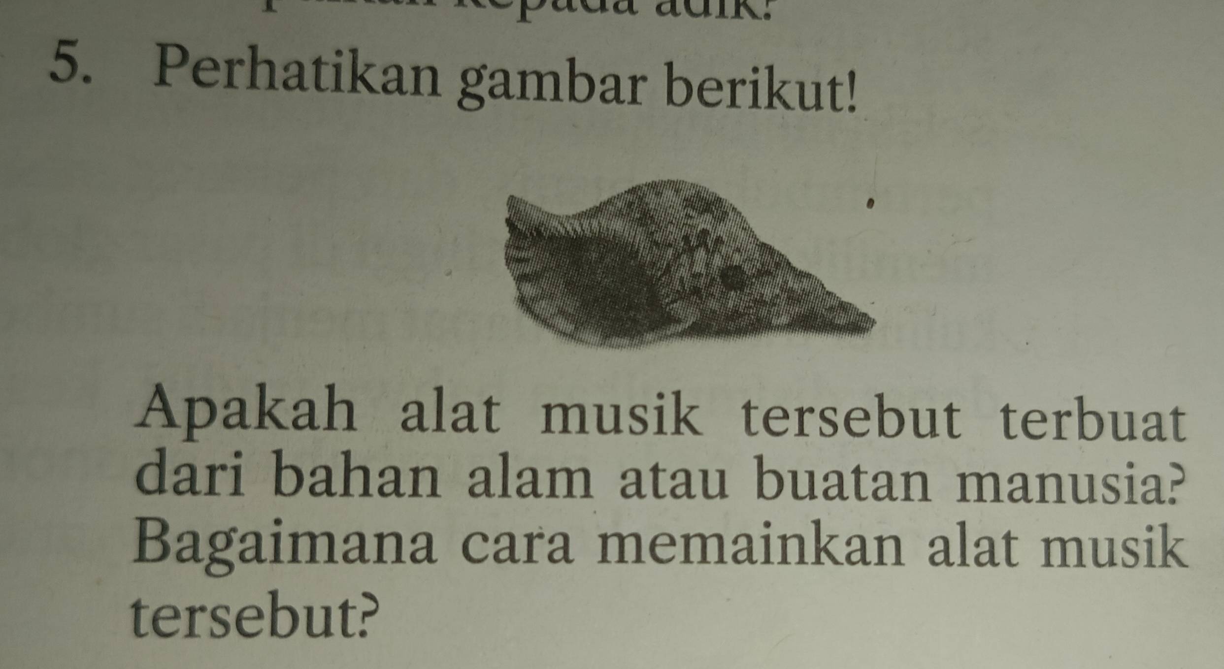 Perhatikan gambar berikut! 
Apakah alat musik tersebut terbuat 
dari bahan alam atau buatan manusia? 
Bagaimana cara memainkan alat musik 
tersebut?