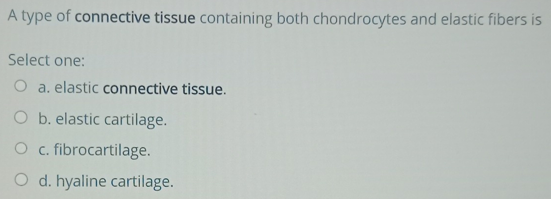 A type of connective tissue containing both chondrocytes and elastic fibers is
Select one:
a. elastic connective tissue.
b. elastic cartilage.
c. fibrocartilage.
d. hyaline cartilage.