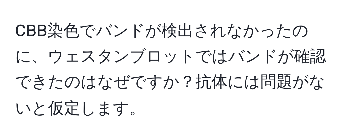 CBB染色でバンドが検出されなかったのに、ウェスタンブロットではバンドが確認できたのはなぜですか？抗体には問題がないと仮定します。