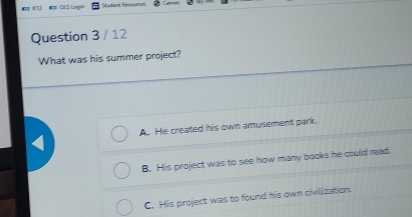 What was his summer project?
A. He created his own amusement park.
B. His project was to see how many books he could mad,
C. His project was to found his own civilization.