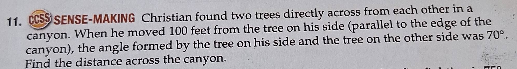 SENSE-MAKING Christian found two trees directly across from each other in a 
canyon. When he moved 100 feet from the tree on his side (parallel to the edge of the 
canyon), the angle formed by the tree on his side and the tree on the other side was 70°. 
Find the distance across the canyon.