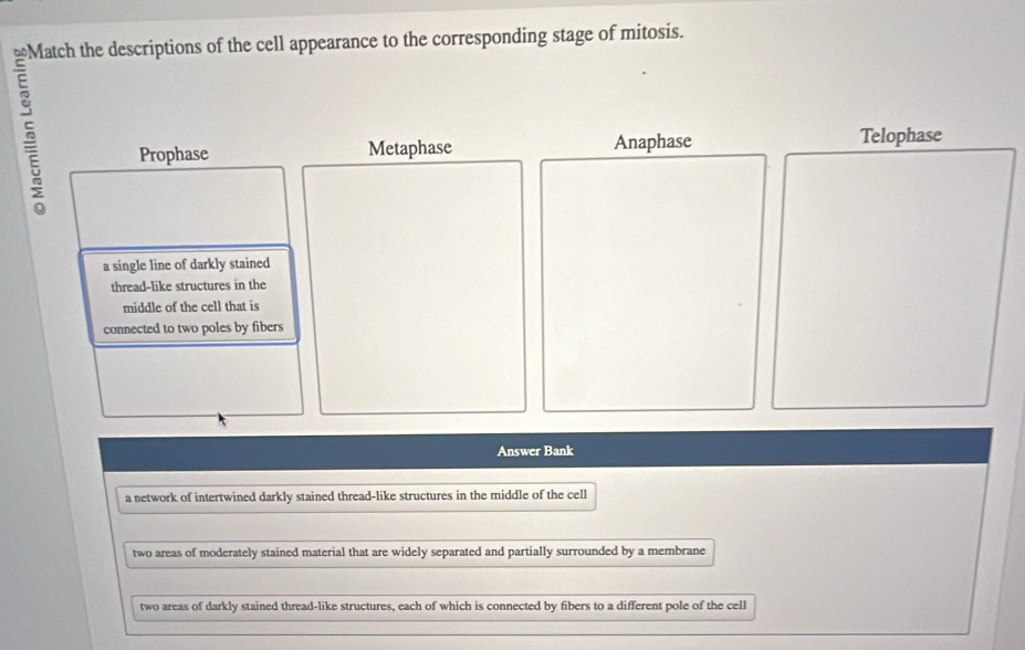 ≌Match the descriptions of the cell appearance to the corresponding stage of mitosis.
Prophase Metaphase Anaphase Telophase
a single line of darkly stained
thread-like structures in the
middle of the cell that is
connected to two poles by fibers
Answer Bank
a network of intertwined darkly stained thread-like structures in the middle of the cell
two areas of moderately stained material that are widely separated and partially surrounded by a membrane
two areas of darkly stained thread-like structures, each of which is connected by fibers to a different pole of the cell