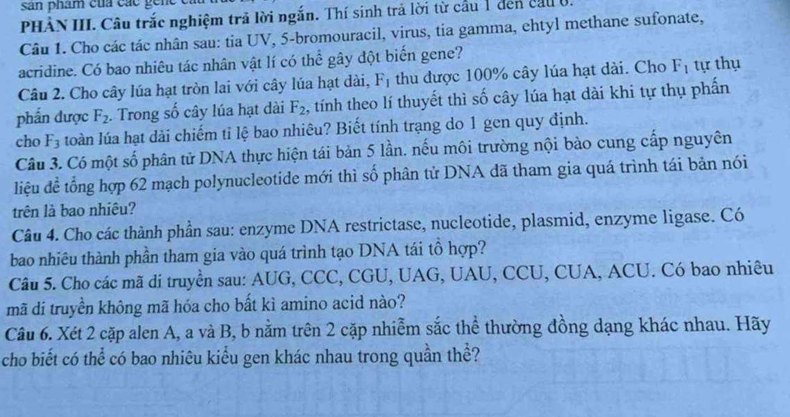 san phẩm của các ge n e e 
PHÀN III. Câu trắc nghiệm trả lời ngắn. Thí sinh trả lời từ cầu 1 đen cầu 0. 
Câu 1. Cho các tác nhân sau: tia UV, 5 -bromouracil, virus, tia gamma, ehtyl methane sufonate, 
acridine. Có bao nhiêu tác nhân vật lí có thể gây đột biến gene? 
Câu 2. Cho cây lúa hạt tròn lai với cây lúa hạt dài, F_1 thu được 100% cây lúa hạt dài. Cho F_1 tự thụ 
phần được F_2. Trong số cây lúa hạt dài F_2 2, tính theo lí thuyết thì số cây lúa hạt dài khi tự thụ phần 
cho F_3 loàn lúa hạt dài chiếm tỉ lệ bao nhiêu? Biết tính trạng do 1 gen quy định. 
Câu 3. Có một số phân tử DNA thực hiện tái bản 5 lần. nếu môi trường nội bào cung cấp nguyên 
liệu để tổng hợp 62 mạch polynucleotide mới thì số phân tử DNA đã tham gia quá trình tái bản nói 
trên là bao nhiêu? 
Câu 4. Cho các thành phần sau: enzyme DNA restrictase, nucleotide, plasmid, enzyme ligase. Có 
bao nhiêu thành phần tham gia vào quá trình tạo DNA tái tổ hợp? 
Câu 5. Cho các mã di truyền sau: AUG, CCC, CGU, UAG, UAU, CCU, CUA, ACU. Có bao nhiêu 
mã di truyền không mã hóa cho bất kì amino acid nào? 
Câu 6. Xét 2 cặp alen A, a và B, b nằm trên 2 cặp nhiễm sắc thể thường đồng dạng khác nhau. Hãy 
cho biết có thể có bao nhiêu kiểu gen khác nhau trong quần thể?