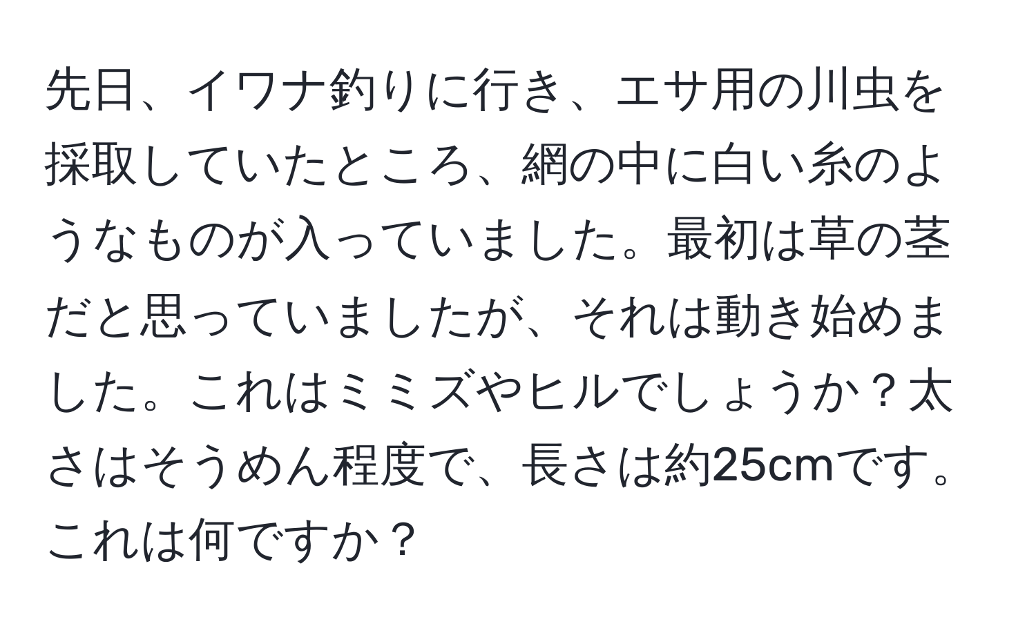 先日、イワナ釣りに行き、エサ用の川虫を採取していたところ、網の中に白い糸のようなものが入っていました。最初は草の茎だと思っていましたが、それは動き始めました。これはミミズやヒルでしょうか？太さはそうめん程度で、長さは約25cmです。これは何ですか？