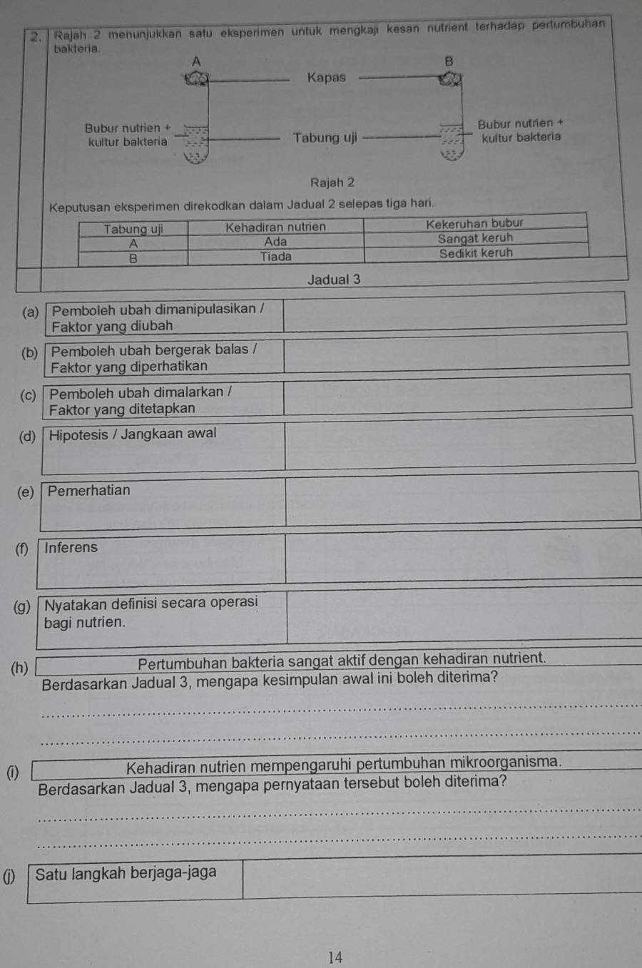 Rajah 2 menunjukkan satu eksperimen untuk mengkaji kesan nutrient terhadap pertumbuhan 
Keputusan eksperimen direkodkan dalam Jadual 2 selepas tiga hari. 
Jadual 3 
(a) 「 Pemboleh ubah dimanipulasikan / 
Faktor yang diubah 
(b) | Pemboleh ubah bergerak balas / 
Faktor yang diperhatikan 
(c) Pemboleh ubah dimalarkan / 
Faktor yang ditetapkan 
(d) Hipotesis / Jangkaan awal 
(e) Pemerhatian 
(f) Inferens 
(g) | Nyatakan definisi secara operasi 
bagi nutrien. 
(h) Pertumbuhan bakteria sangat aktif dengan kehadiran nutrient. 
Berdasarkan Jadual 3, mengapa kesimpulan awal ini boleh diterima? 
_ 
_ 
(i) Kehadiran nutrien mempengaruhi pertumbuhan mikroorganisma. 
Berdasarkan Jadual 3, mengapa pernyataan tersebut boleh diterima? 
_ 
_ 
(j) Satu langkah berjaga-jaga 
14