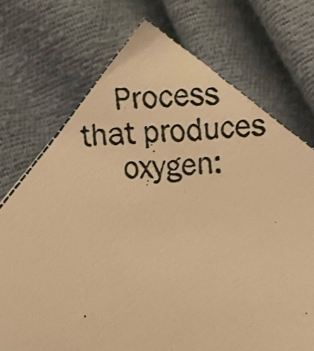 Process 
that produces 
oxygen: