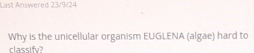 Last Answered 23/9/24 
Why is the unicellular organism EUGLENA (algae) hard to 
classifv?