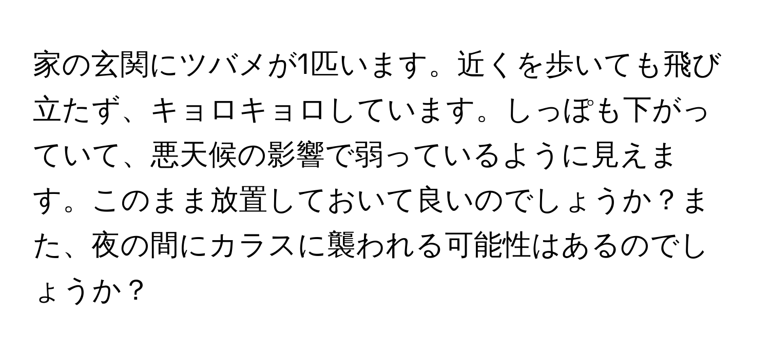 家の玄関にツバメが1匹います。近くを歩いても飛び立たず、キョロキョロしています。しっぽも下がっていて、悪天候の影響で弱っているように見えます。このまま放置しておいて良いのでしょうか？また、夜の間にカラスに襲われる可能性はあるのでしょうか？