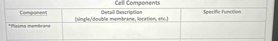 Cell Components