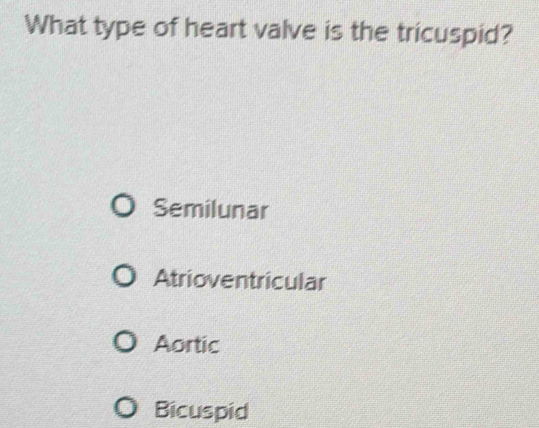 What type of heart valve is the tricuspid?
Semilunar
Atrioventricular
Aortic
Bicuspid