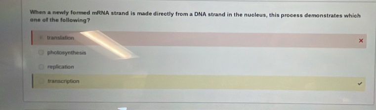 When a newly formed mRNA strand is made directly from a DNA strand in the nucleus, this process demonstrates which
ane of the following?
translation
×
photosynthesis
replication
transcription