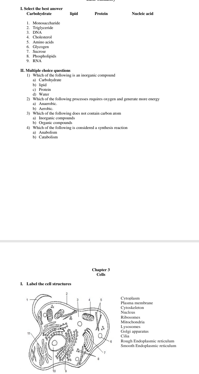 Select the best answer
Carbohydrate lipid Protein Nucleic acid
1. Monosaccharide
2. Triglyceride
3. DNA
4. Cholesterol
5. Amino acids
6. Glycogen
7. Sucrose
8. Phospholipids
9. RNA
II. Multiple choice questions
1) Which of the following is an inorganic compound
a) Carbohydrate
b) lipid
c) Protein
d) Water
2) Which of the following processes requires oxygen and generate more energy
a) Anaerobic.
b) Aerobic.
3) Which of the following does not contain carbon atom
a) Inorganic compounds
b) Organic compounds
4) Which of the following is considered a synthesis reaction
a) Anabolism
b) Catabolism
Chapter 3
Cells
I. Label the cell structures
Cytoplasm
Plasma membrane
Cytoskeleton
Nucleus
Ribosomes
Mitochondria
Lysosomes
Golgi apparatus
Cilia
Rough Endoplasmic reticulum
Smooth Endoplasmic reticulum
to