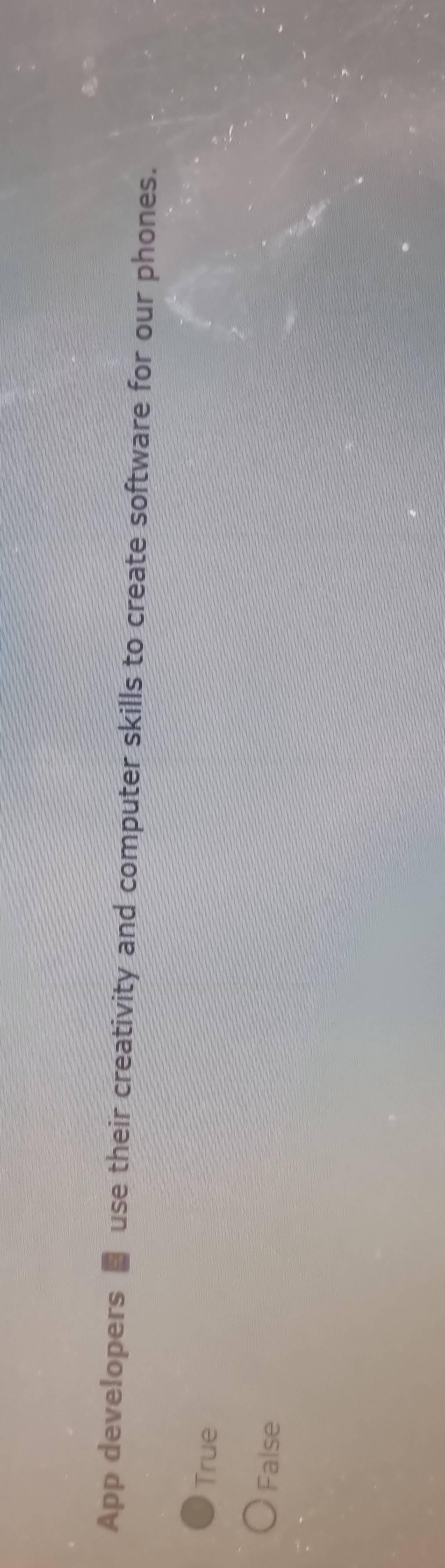 App developers use their creativity and computer skills to create software for our phones.
True
False