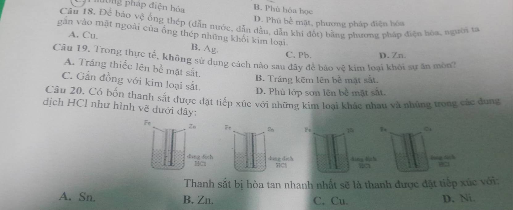 đ0ng pháp điện hóa
B. Phủ hóa học
D. Phủ bề mặt, phương pháp điện hóa
Câu 18. Đề bảo vệ ống thép (dẫn nước, dẫn dầu, dẫn khi đốt) bằng phương pháp điện hóa, người ta
găn vào mặt ngoài của ống thép những khối kim loại.
A. Cu.
B. Ag.
C. Pb. D. Zn.
Câu 19. Trong thực tế, không sử dụng cách nào sau đây để bảo vệ kim loại khỏi sự ăn mòn?
A. Tráng thiếc lên bề mặt sắt.
B. Tráng kẽm lên bề mặt sắt.
C. Gắn đồng với kim loại sắt.
D. Phủ lớp sơn lên bề mặt sắt.
Câu 20. Có bốn thanh sắt được đặt tiếp xúc với những kim loại khác nhau và nhủng trong các dung
dịch HCl như hình vẽ dưới đây:
Fe
Zu Fe So Fe
1
dōng dich dung dich dìng dch Sung dách
HCl HCl EC AC
Thanh sắt bị hòa tan nhanh nhất sẽ là thanh được đặt tiếp xúc với:
A. Sn. B. Zn. C. Cu. D. Ni.