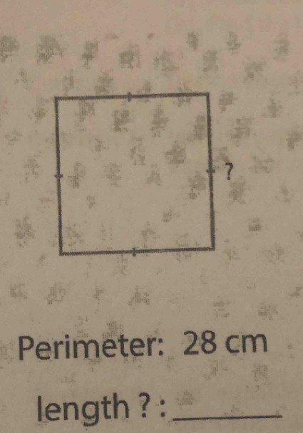 Perimeter: 28 cm
length ? :_