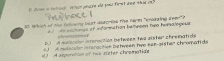 Draw a tetrad: What phase do you first see this in?
10. Which of the following best describe the term "crossing over"?
a.) An exchange of information between two homologous
chromosomes
b.) A molecular interaction between two sister chromatids
c.) A molecular interaction between two non-sister chromatids
d.) A separation of two sister chromatids