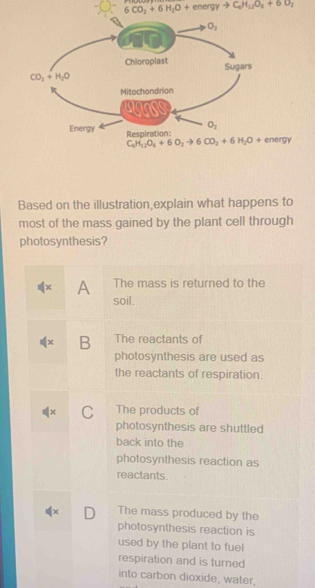 6CO_2+6H_2O+energyto C_6H_12O_6+6O_2
Based on the illustration,explain what happens to
most of the mass gained by the plant cell through
photosynthesis?
A The mass is returned to the
soil.
B The reactants of
photosynthesis are used as
the reactants of respiration.
+ C The products of
photosynthesis are shuttled
back into the
photosynthesis reaction as
reactants.
D The mass produced by the
photosynthesis reaction is
used by the plant to fuel
respiration and is turned
into carbon dioxide, water,