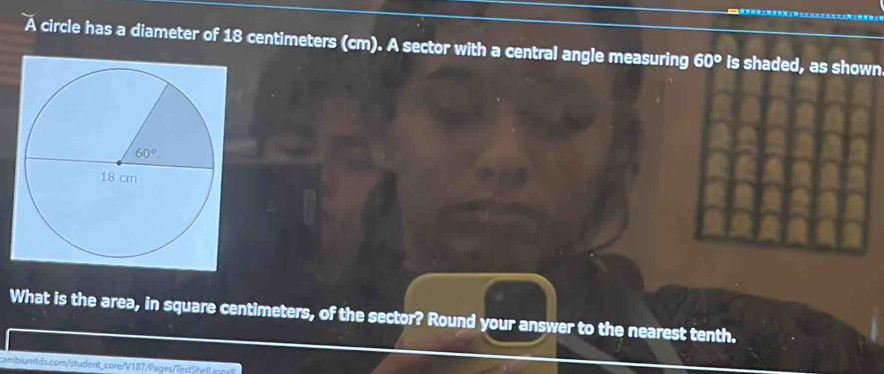 A circle has a diameter of 18 centimeters (cm). A sector with a central angle measuring 60° is shaded, as shown
What is the area, in square centimeters, of the sector? Round your answer to the nearest tenth.
cambiumt s.comstudent core/V 187/ Pages T  e  a